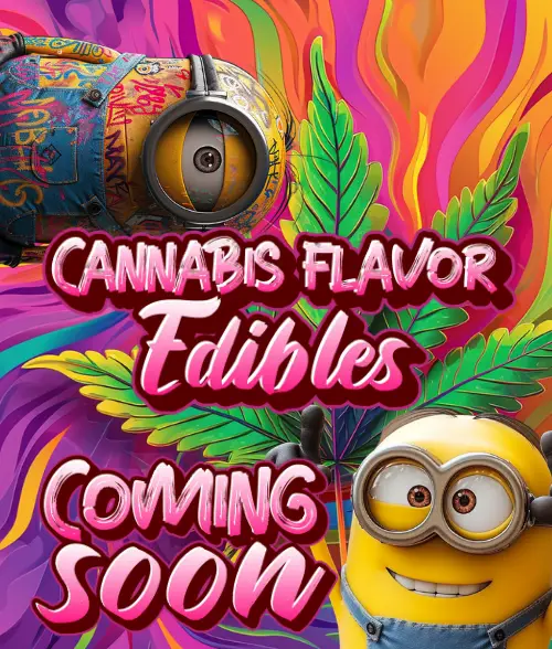 Cannabis flavor edibles